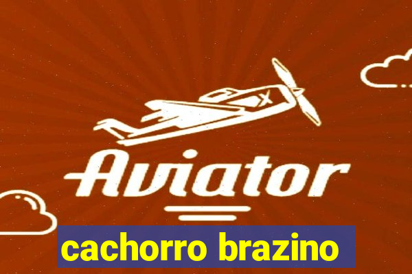 cachorro brazino